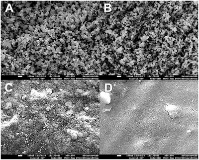 Silver nanoparticles with plasma-polymerized hexamethyldisiloxane coating on 3D printed substrates are non-cytotoxic and effective against respiratory pathogens